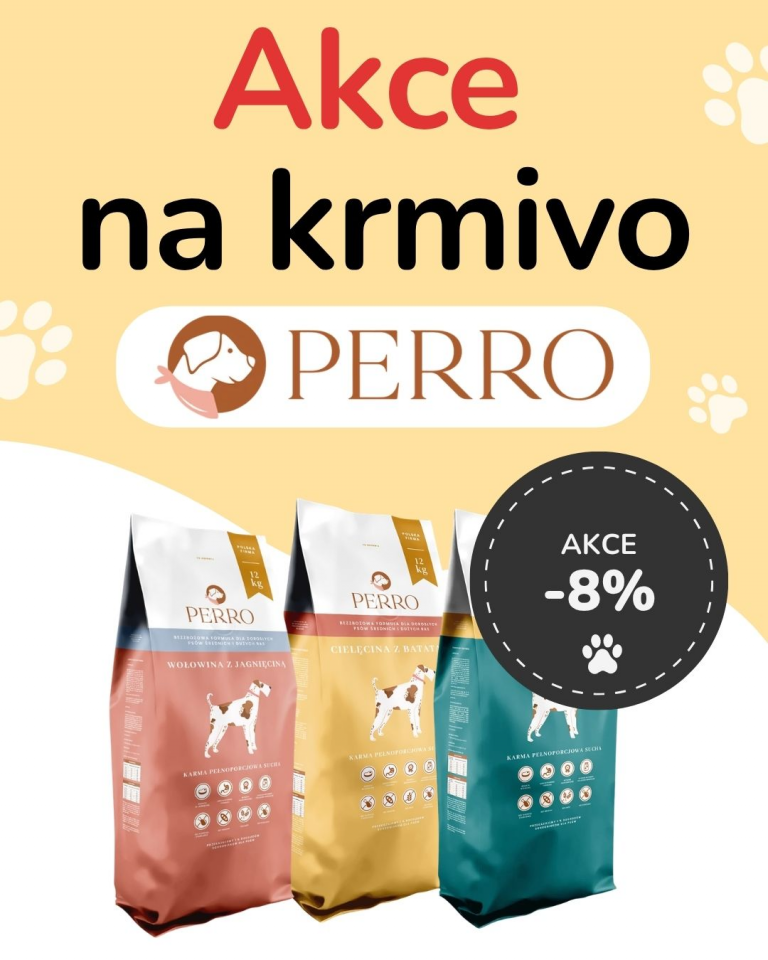 [OFERTA SPECJALNA] Październik - Perro