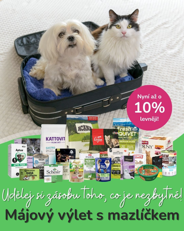 [OFERTA SPECJALNA] Majówka