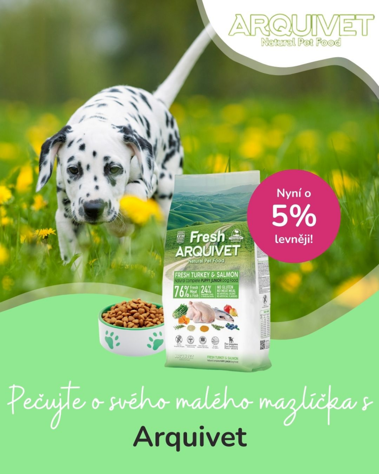 [Oferta specjalna] Szczenięta i kocięta Arquivet