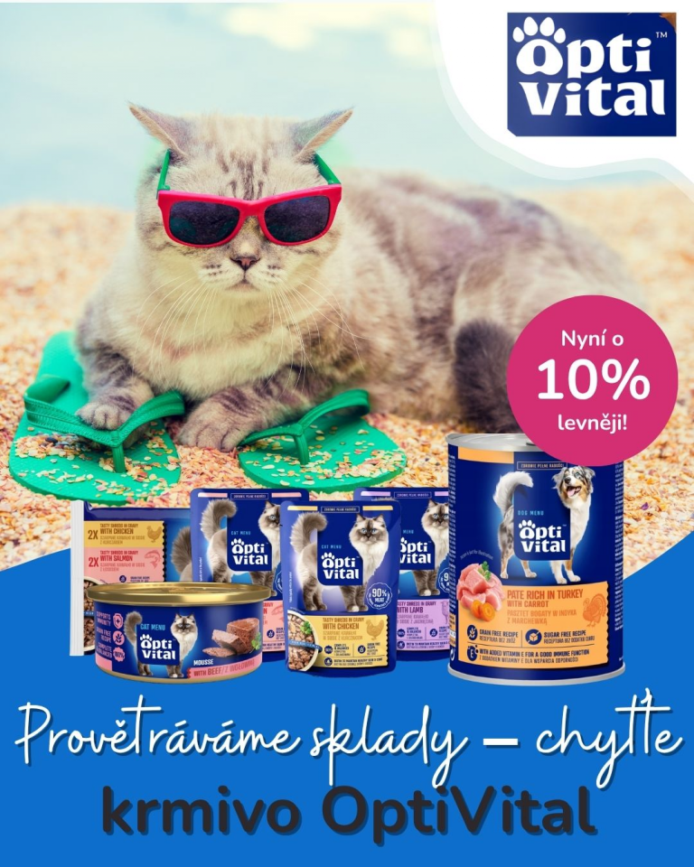 [OFERTA SPECJALNA] Lipiec letnie wyprzedaże 