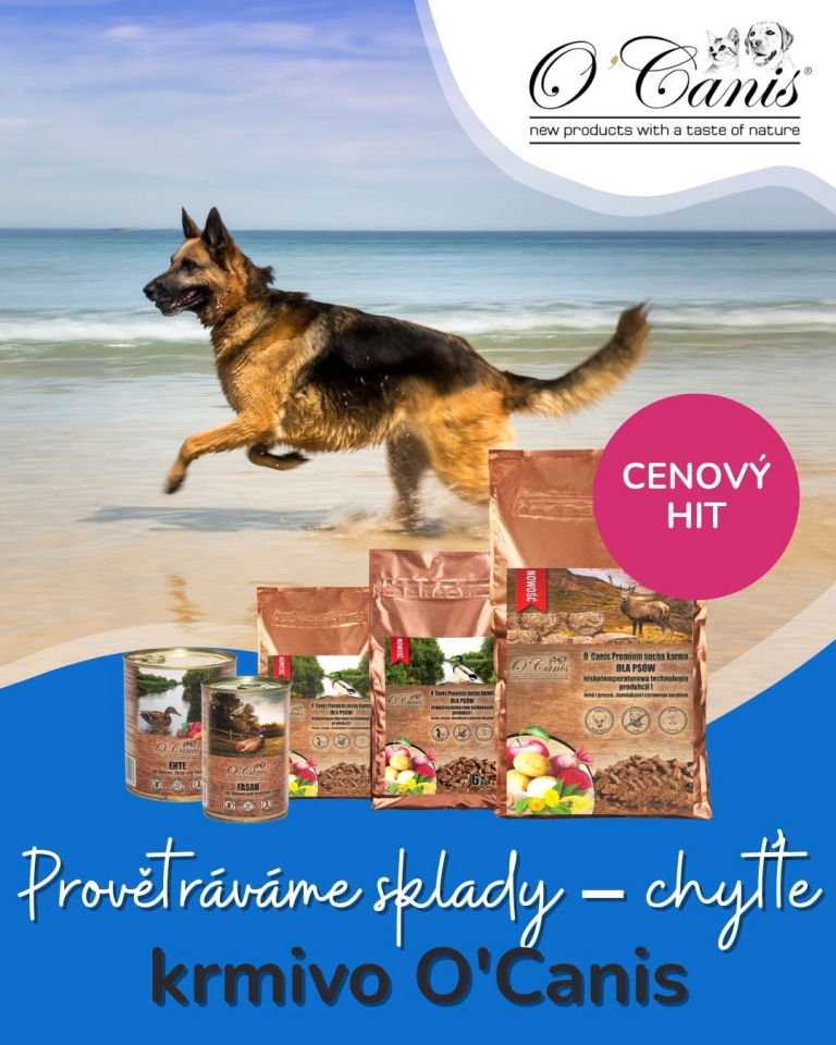 [OFERTA SPECJALNA] Lipiec letnie wyprzedaże 