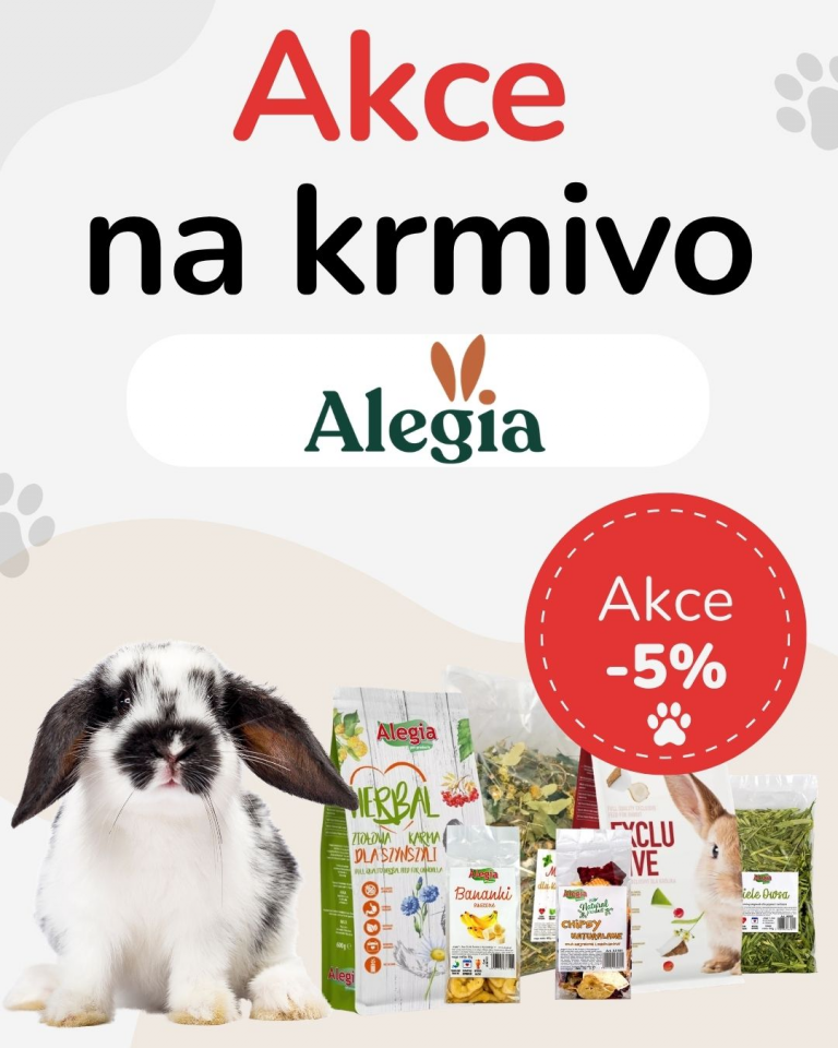 [OFERTA SPECJALNA] Wrzesień - Alegia