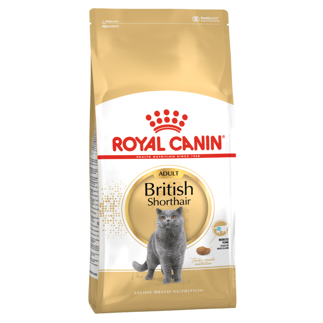 Royal Canin British Shorthair Adult suché krmivo pro kočky 4 kg Dospělý jedinec - foto 1