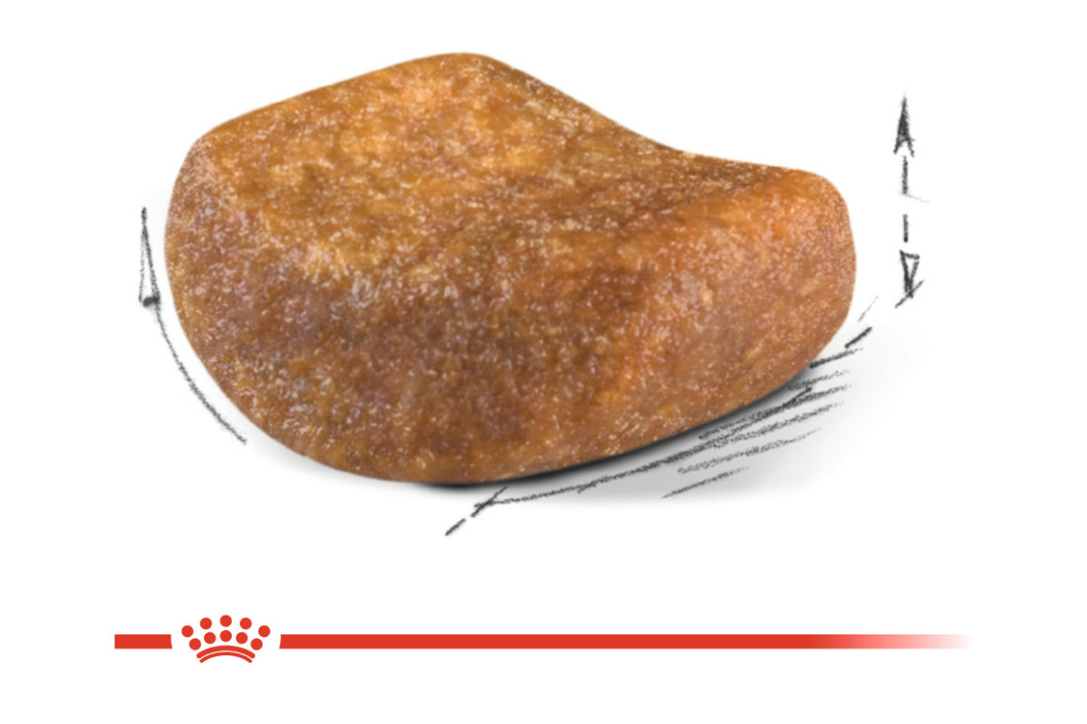 Royal Canin British Shorthair Adult suché krmivo pro kočky 4 kg Dospělý jedinec - foto 2