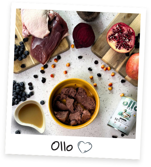 OLLO Plus Collagen Mono Duck - vlhké krmivo pro psy - 800g - foto 1
