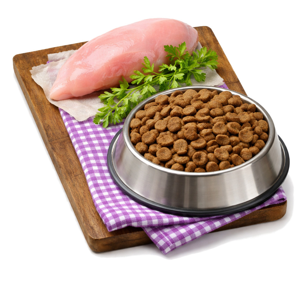 BOSCH Maxi Senior Drůbež a rýže – suché krmivo pro psy – 12,5 kg - foto 2