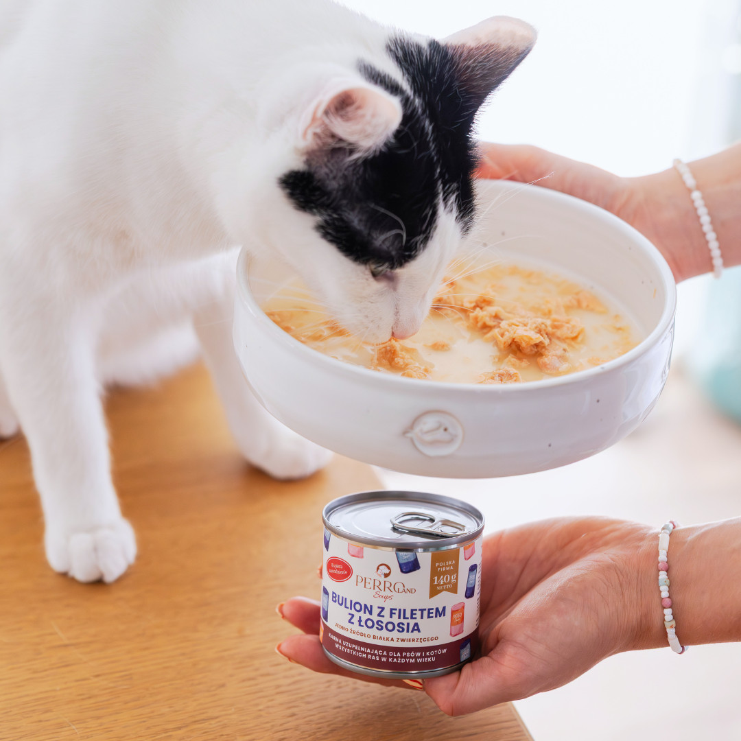 PERRO PERROland Soups Broth with salmon fillet Mono - pamlsek pro psy a kočky - 140 g - foto 3