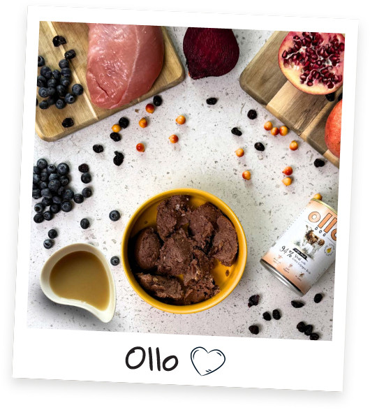 OLLO Plus Collagen Mono Veal - vlhké krmivo pro psy - 800g - foto 1