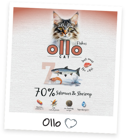 OLLO Cat No. 7 Salmon and shrimp - mokré krmivo pro kočky - 85g - foto 7