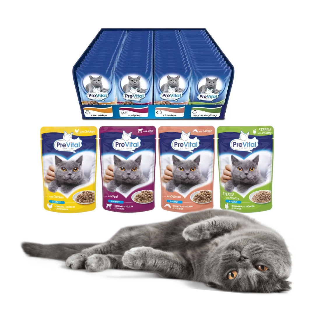 PREVITAL Cat Food Mix 4 Příchutě Kuře, Telecí, Losos, Drůbež – mokré krmivo pro kočky – 96 x 100 g - foto 2