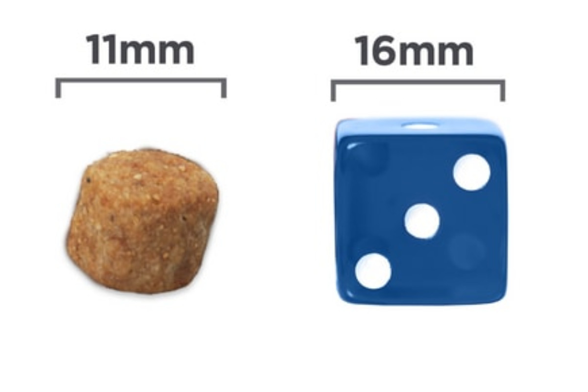 Hill's Prescription Diet j/d Canine 12kg - foto 3