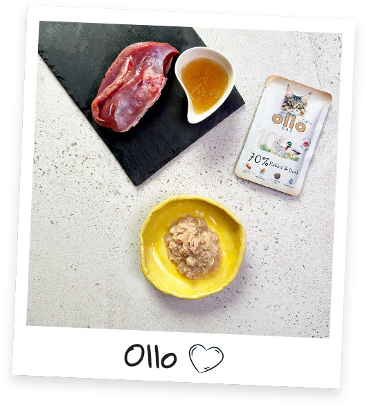 OLLO Cat No. 10 Rabbit and duck - mokré krmivo pro kočky - 85g - foto 2