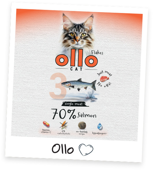 OLLO Cat No. 3 Salmon Mono - mokré krmivo pro kočky - 85g - foto 7