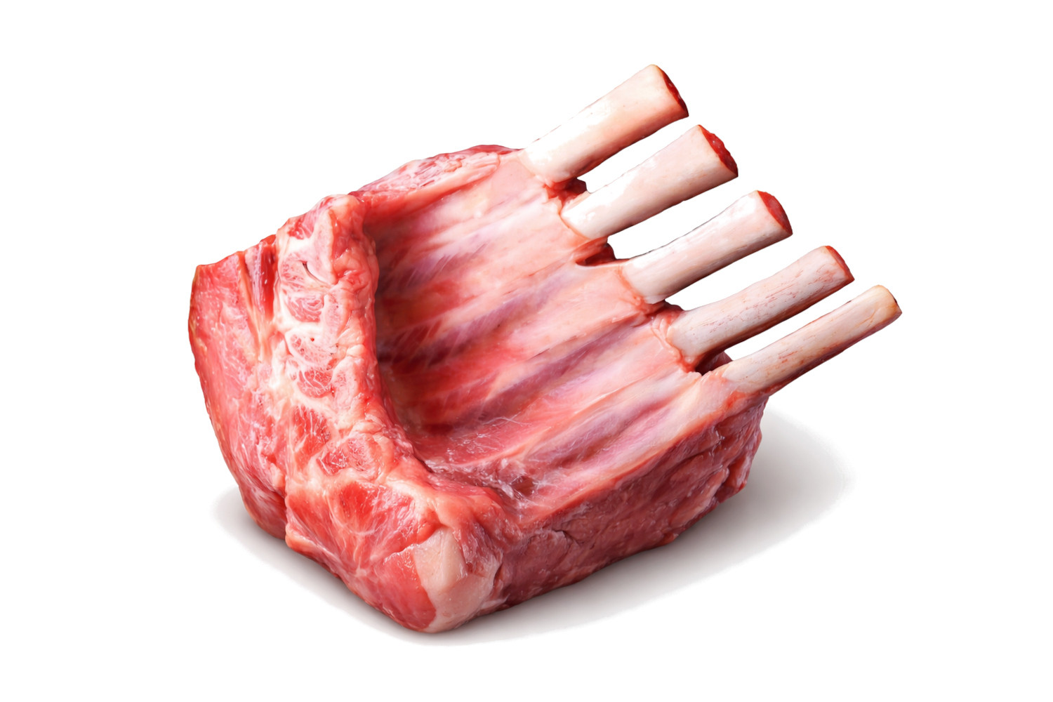 JOHN DOG Pure Black Special Edition Lamb - vlhké krmivo pro psy - 800g - foto 2