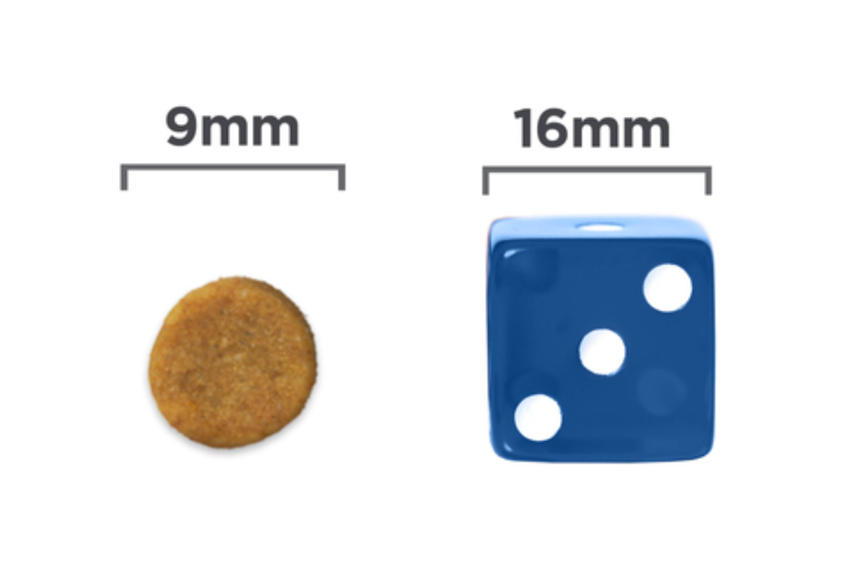 Hill's Prescription Diet Feline k/d Kidney Care – suché krmivo pro kočky s onemocněním ledvin – 3kg - foto 3