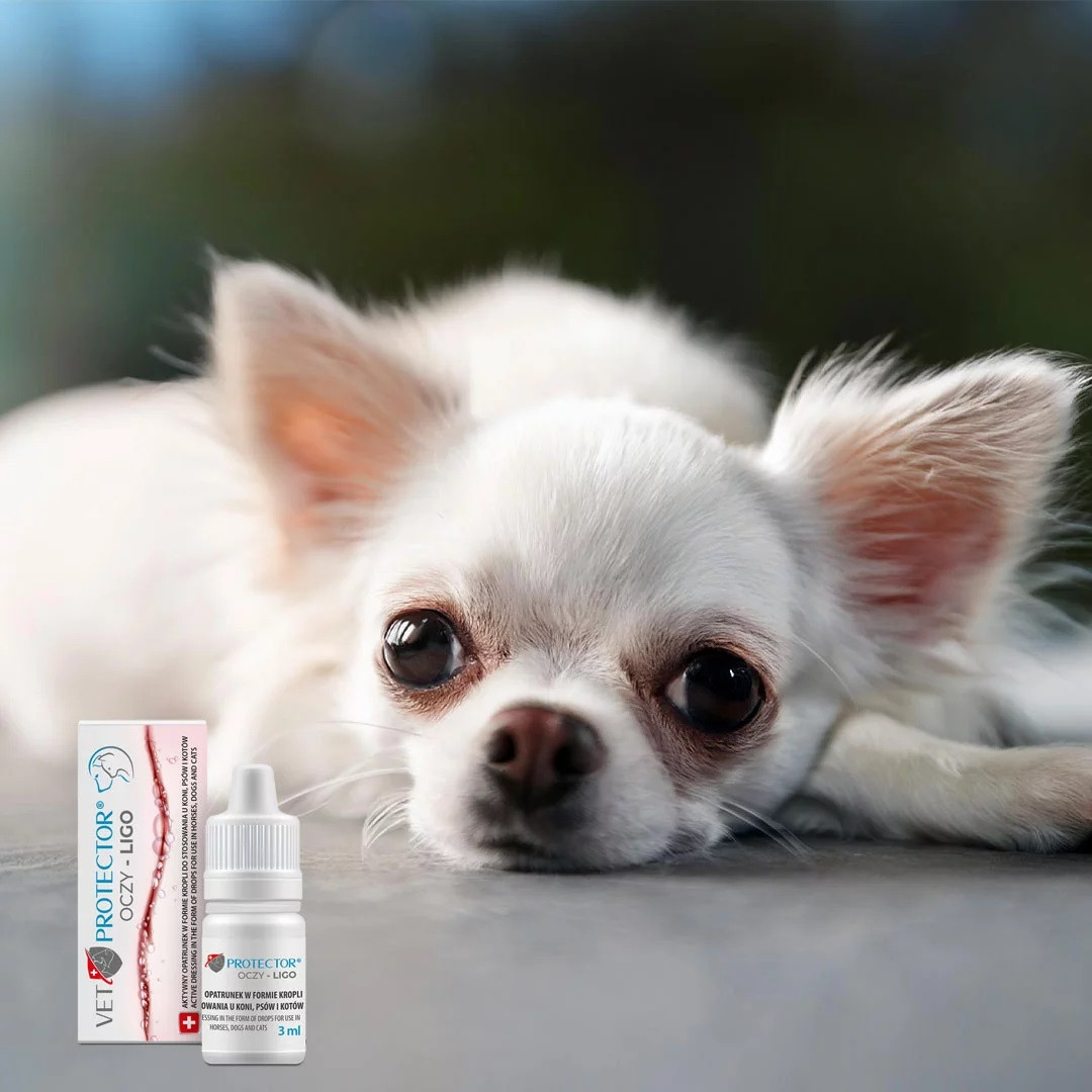 JM SANTE Vet Protector Ligo - oční kapky pro psy a kočky – 3 ml - foto 1