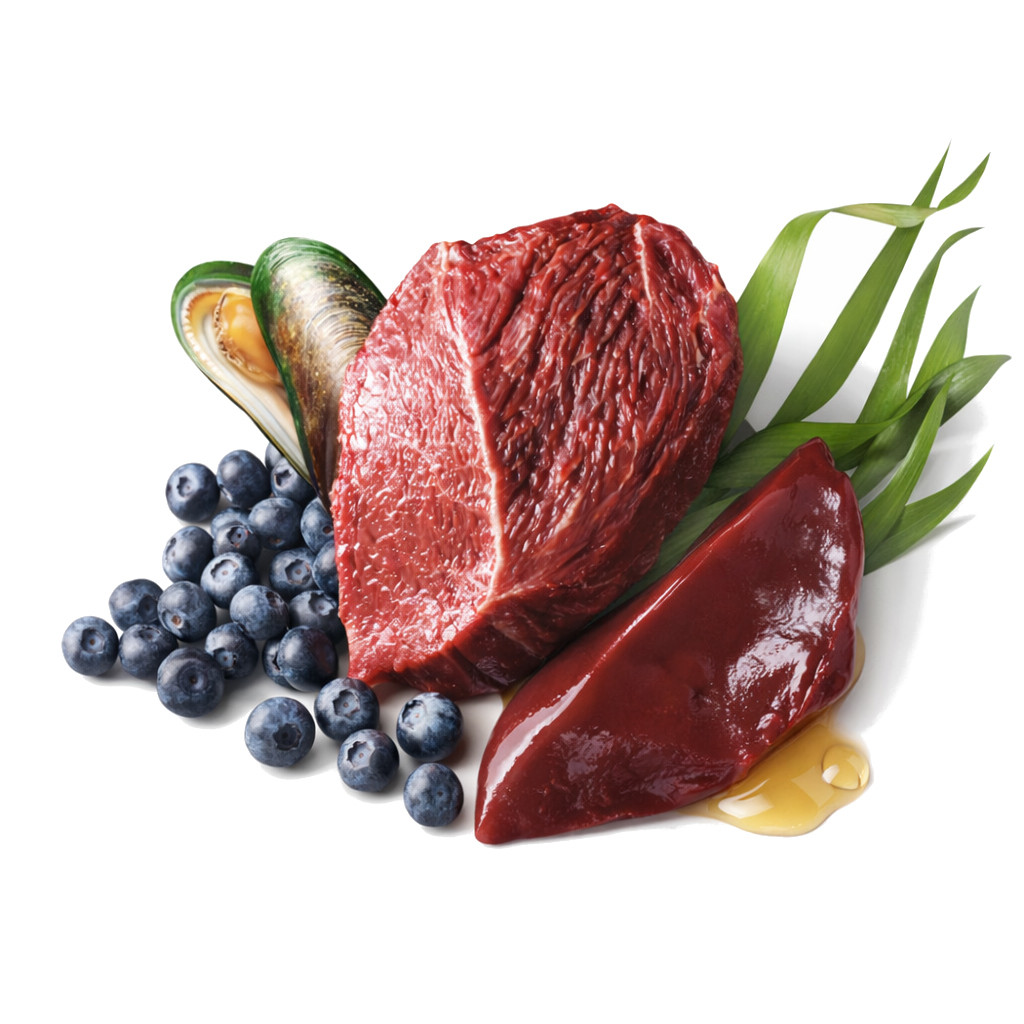 JOHN DOG Berry line Beef with blueberries - vlhké krmivo pro psy - 800g - foto 2