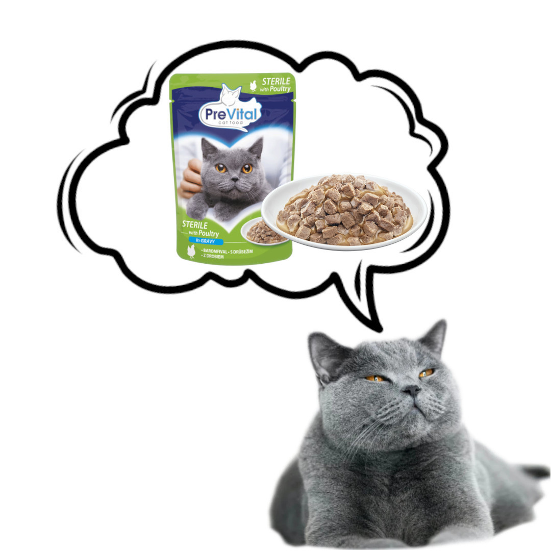 PREVITAL Cat Food Sterile Drůbež v omáčce - mokré krmivo pro kočky - kapsička 100 g - foto 2