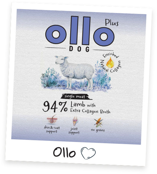 OLLO Plus Collagen Mono Lamb - vlhké krmivo pro psy - 400g - foto 3