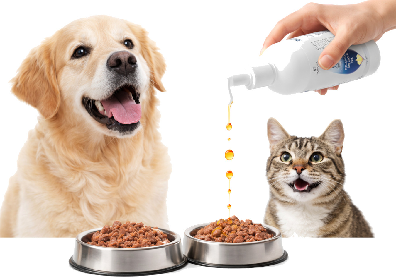 POKUSA RawDietLine Atlantic Salmon Oil - doplňky stravy pro psy a kočky - 300ml - foto 4