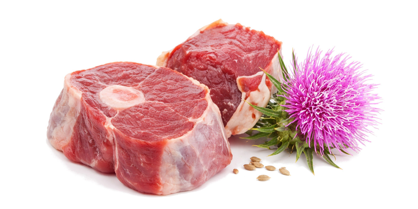 BRIT Care Hypoallergenic Adult Large Breed Lamb - suché krmivo pro psy - 12 kg - foto 2