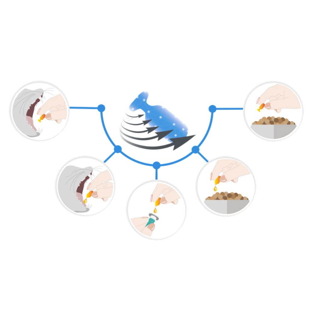 JM SANTE Multiway Vet Duocaps Ulga Max - twist-off kapsle pro zmírnění stresu a nepohodlí pro psy a kočky – 60 ks - foto 4