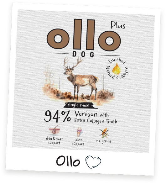 OLLO Plus Collagen Mono Deer - vlhké krmivo pro psy - 800g - foto 2