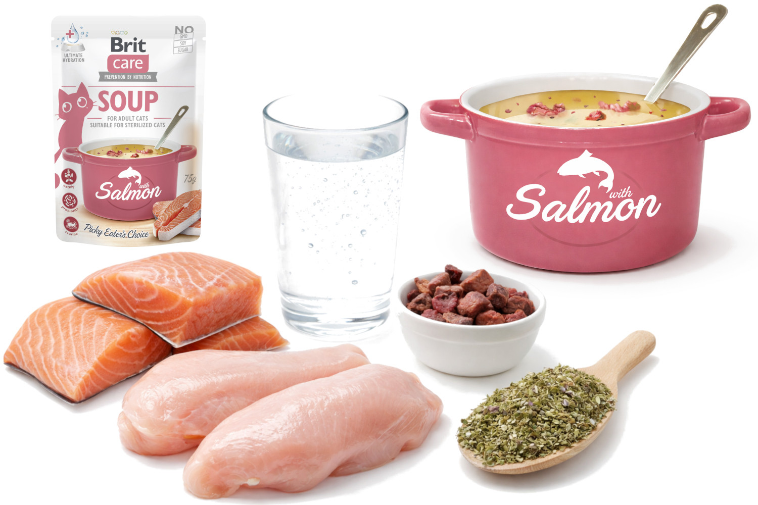 BRIT Care Soup Salmon - polévka pro kočku - 75g - foto 2