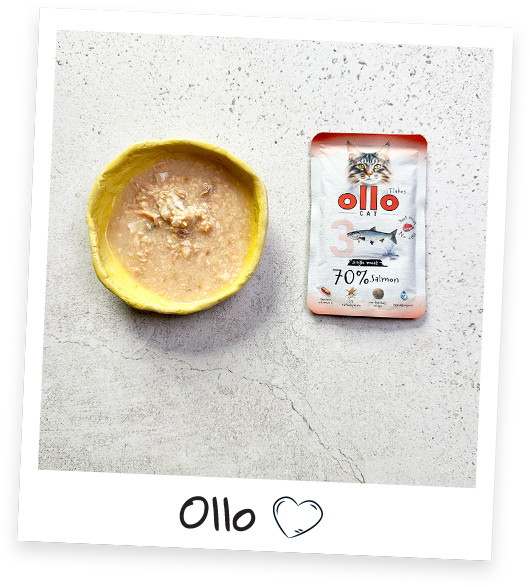 OLLO Cat No. 3 Salmon Mono - mokré krmivo pro kočky - 85g - foto 6