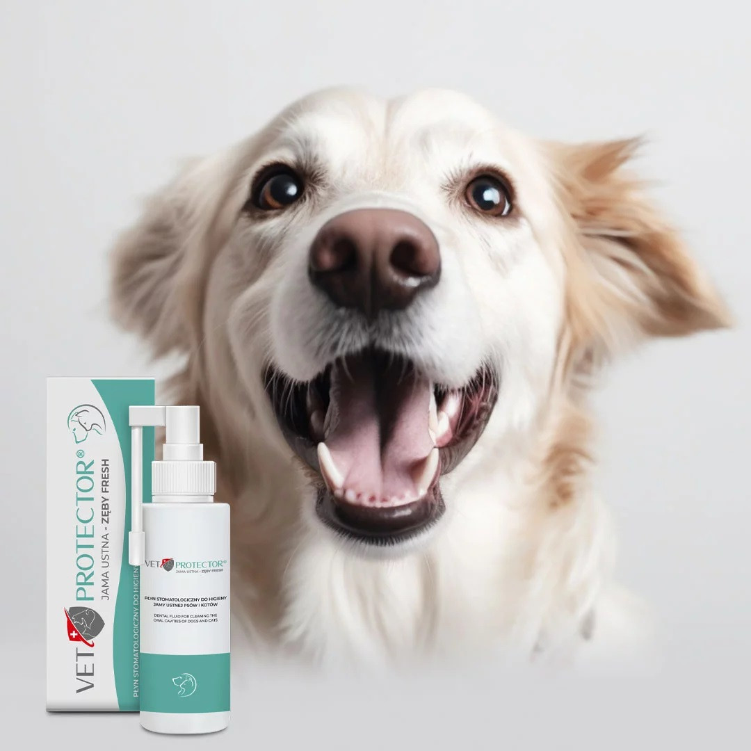 JM SANTE Vet Protector Fresh - stomatologický roztok pro hygienu dutiny ústní u psů a koček – 100 ml - foto 1
