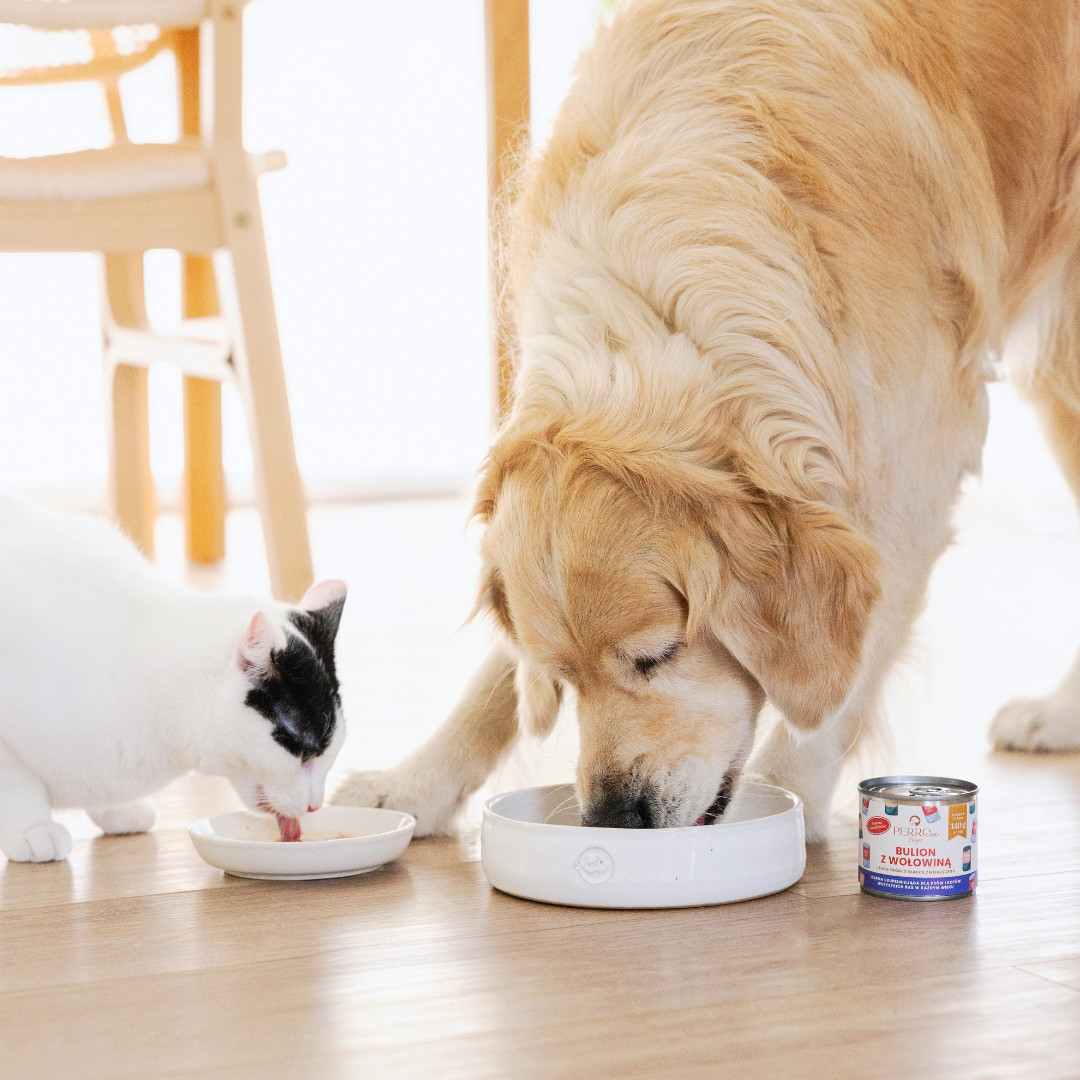 PERRO PERROland Soups Broth with beef Mono - pamlsek pro psy a kočky - 140 g - foto 2
