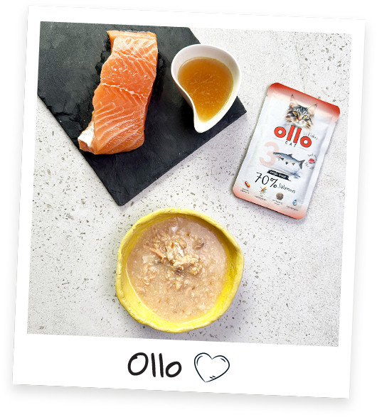 OLLO Cat No. 3 Salmon Mono - mokré krmivo pro kočky - 85g - foto 2
