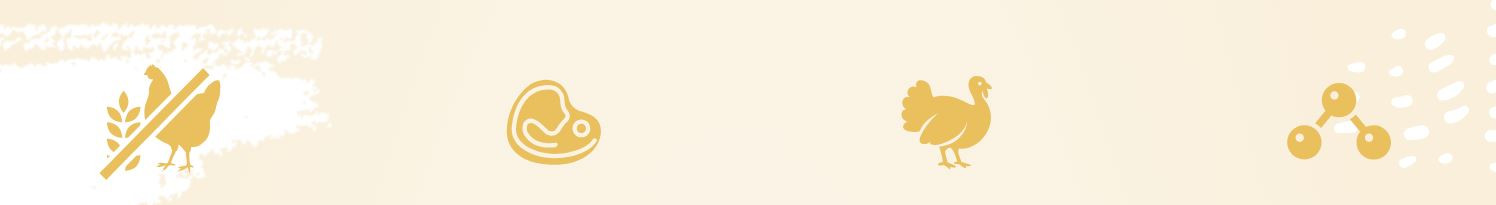 EUPHORIA Fresh Adult Turkey with rabbit XS/S - suché krmivo pro psy - 500g - foto 1