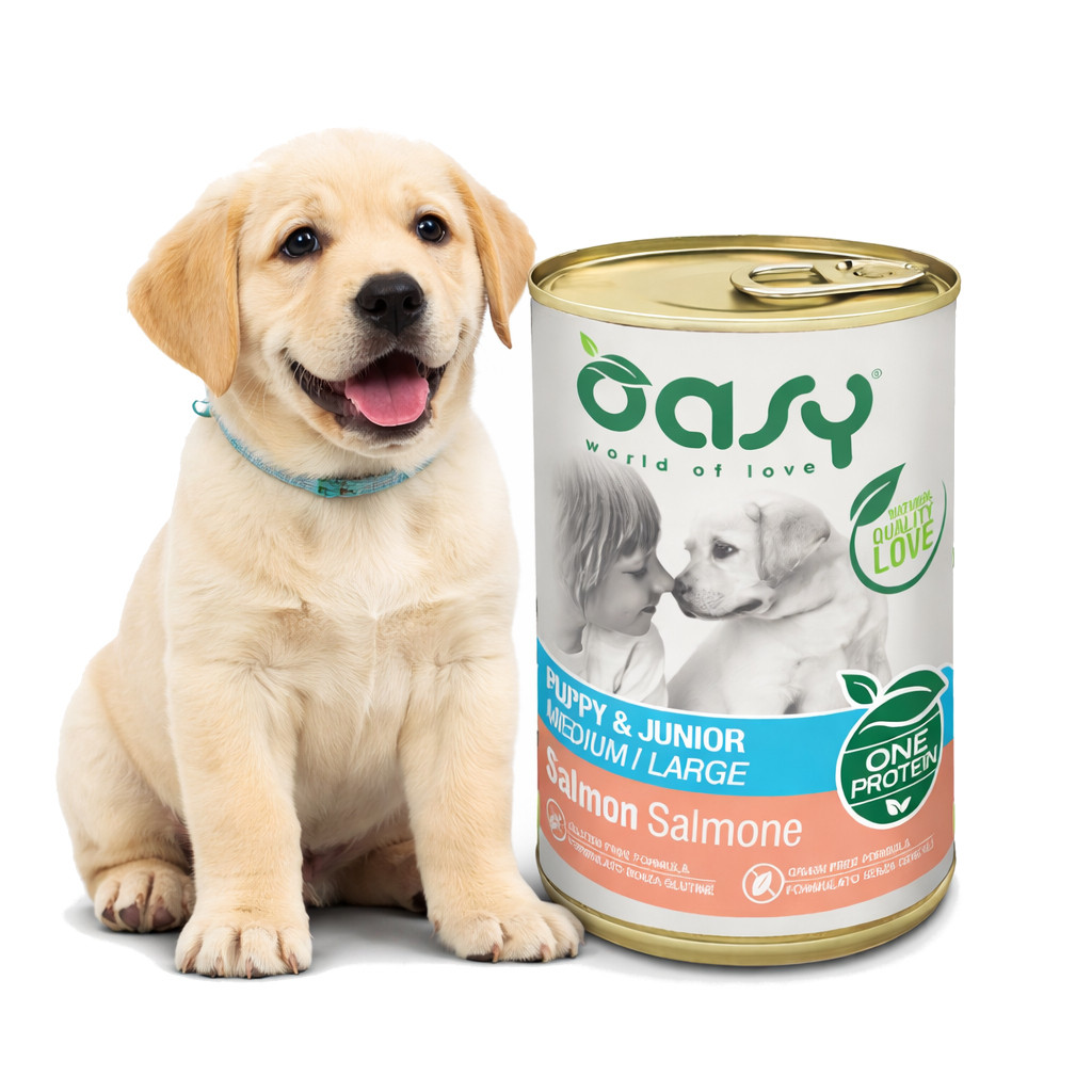 OASY One Protein Puppy & Junior Medium/Large Salmon - vlhké krmivo pro psy - 400g - foto 2