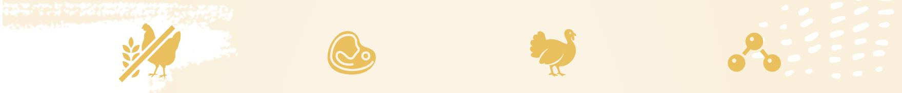 EUPHORIA Fresh Junior Turkey with rabbit XS/S - suché krmivo pro psy - 500g - foto 1