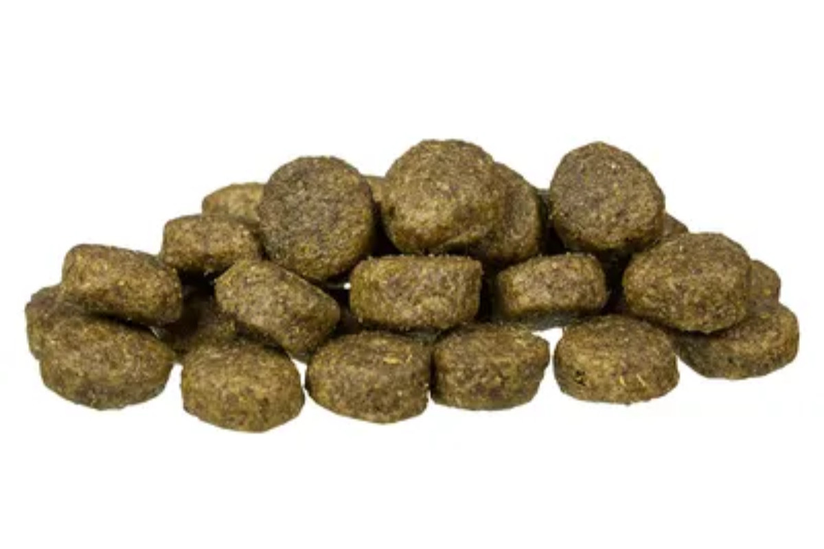 BOSCH Sensitive Lamb & Rice – krmivo pro psy s citlivým žaludkem s jehněčím masem a rýží – 15 kg - foto 2