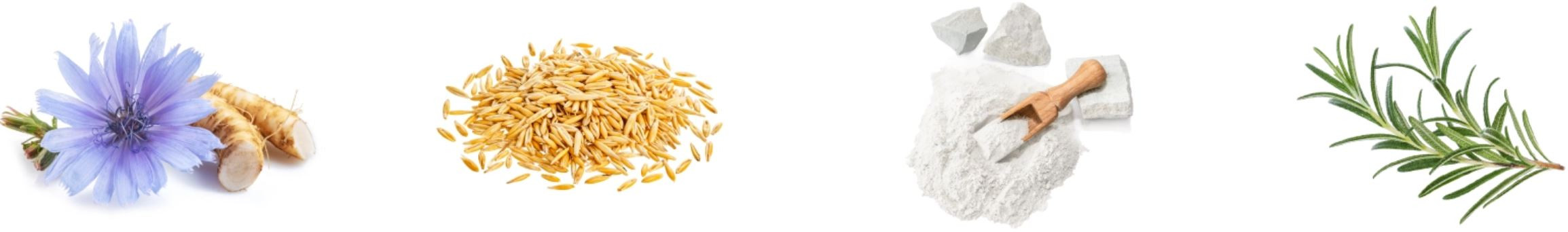 NATURE'S PROTECTION Adult Lamb - suché krmivo pro psy - 12kg - foto 1