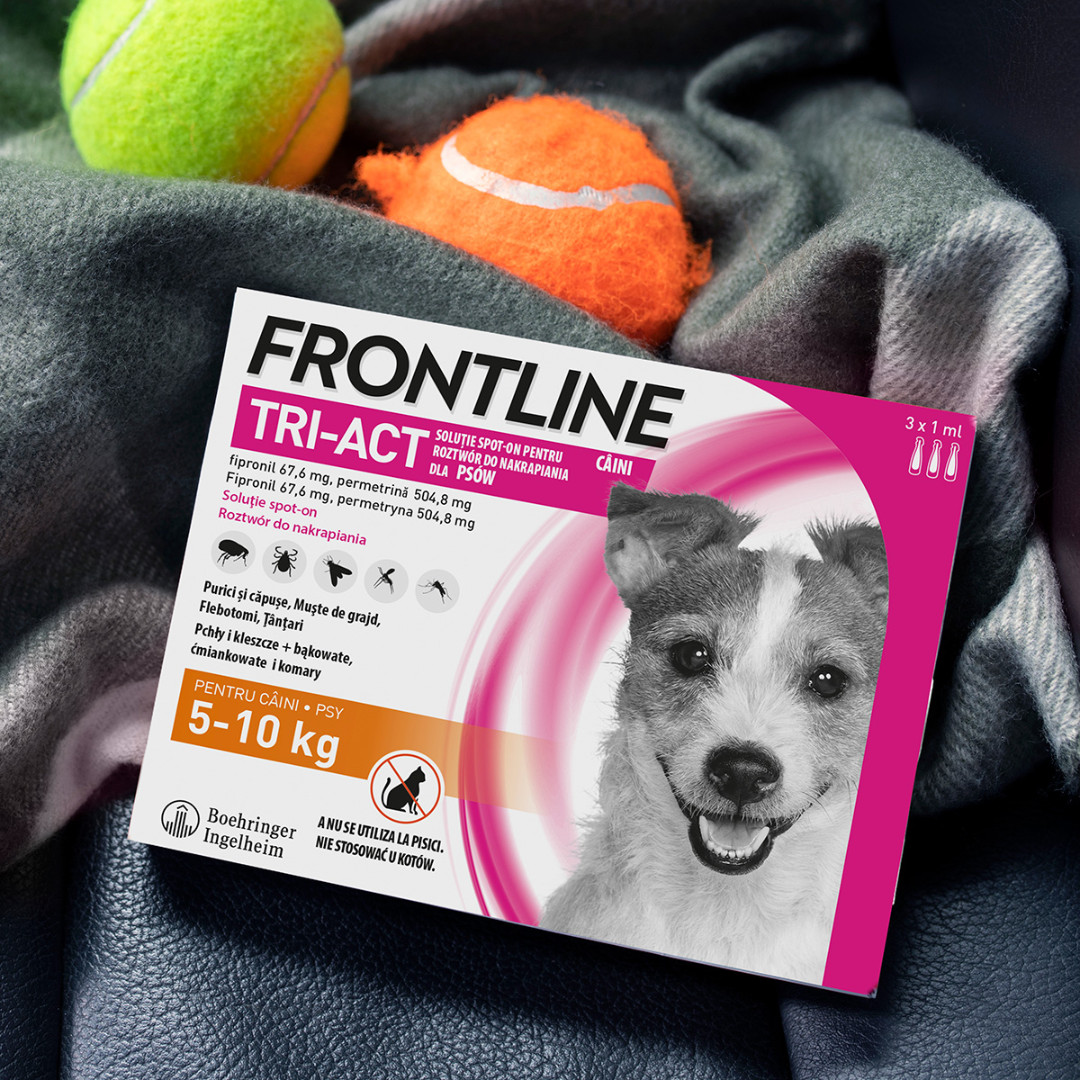 FRONTLINE Tri-Act S kapky proti parazitům pro psy 5-10 kg,- 3 x 1 ml - foto 2