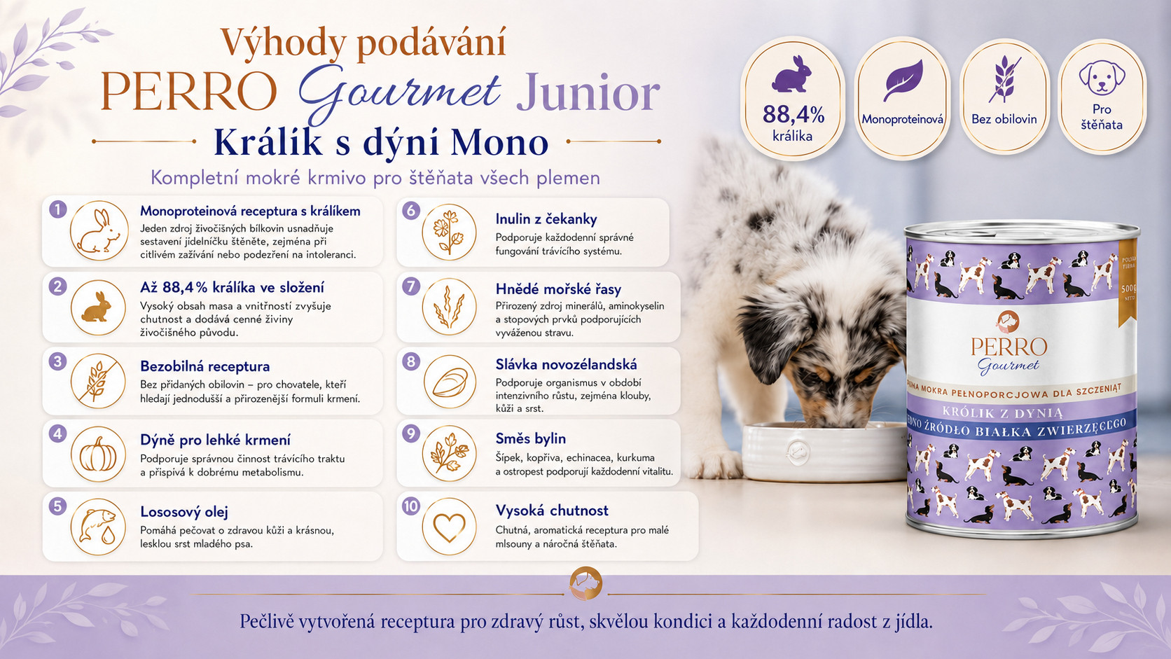 PERRO Gourmet Junior Rabbit with pumpkin Mono - vlhké krmivo pro psy - 800g - foto 1