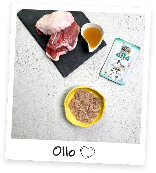 OLLO Cat No. 2 Duck Mono - mokré krmivo pro kočky - 85g - foto 2