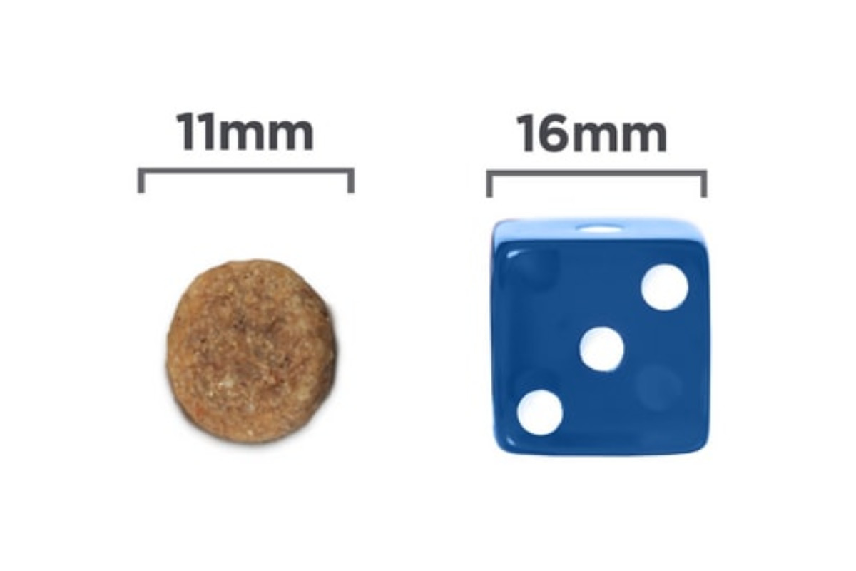 HILL'S Prescription Diet Kidney Care Canine k/d - suché krmivo pro psy - 12 kg - foto 3