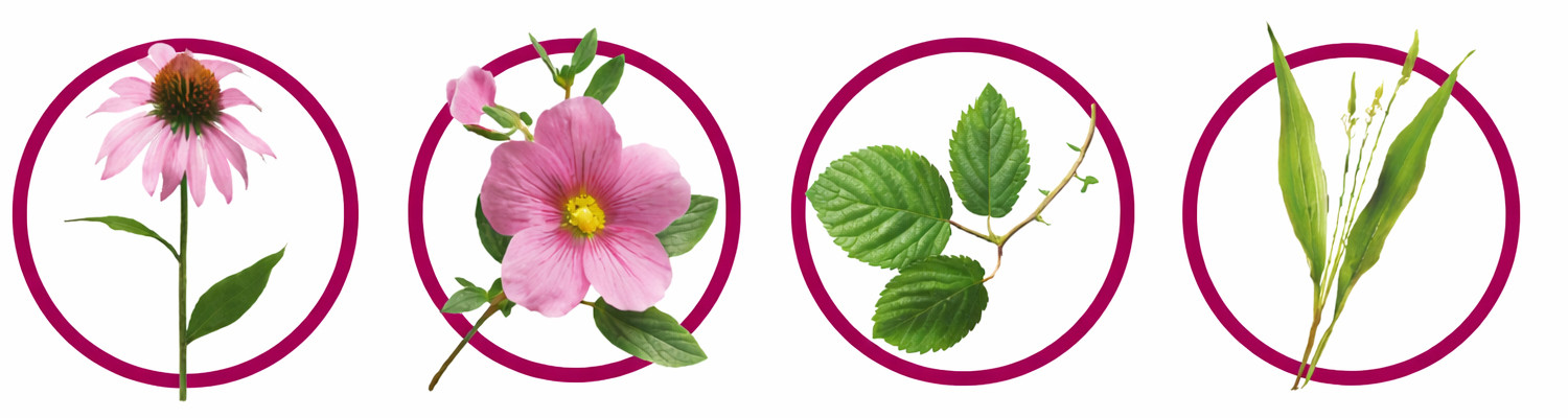 CHAMPER Immuno Monoprotein Turkey - vlhké krmivo pro psy - 400g - foto 1