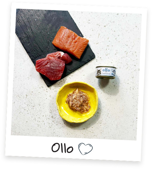 OLLO Cat nr 5 Tuna & Salmon in broth - mokré krmivo pro kočky - 70g - foto 2
