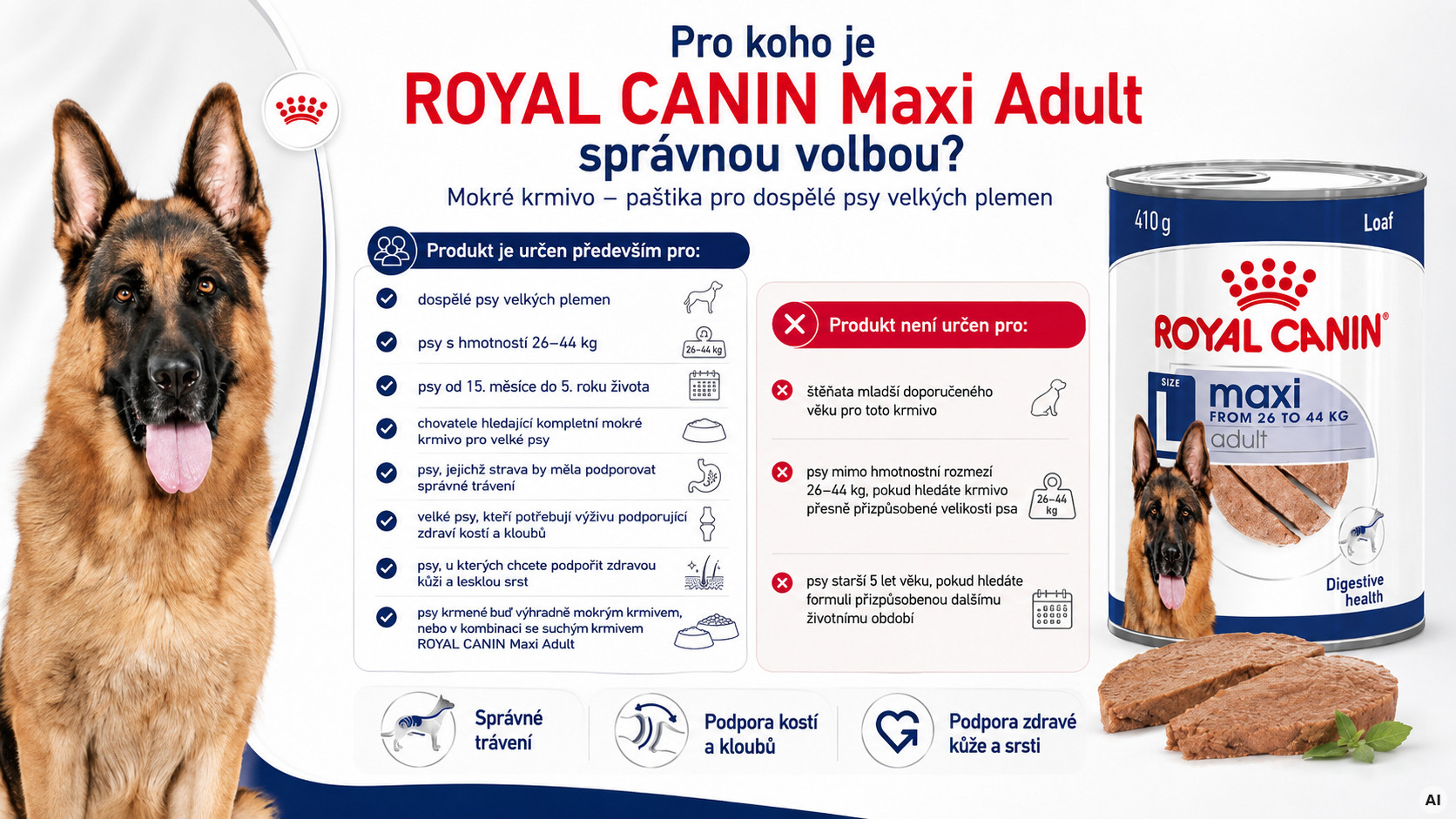 ROYAL CANIN Maxi Adult mokré krmivo, paštika pro dospělé psy velkých plemen. - foto 2