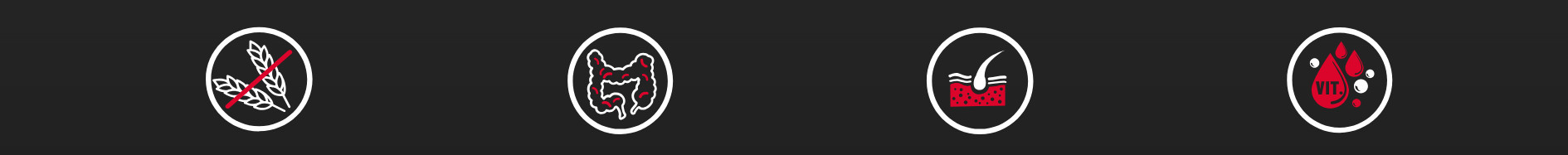 BIOFEED Tasty Dogs Life Beef - vlhké krmivo pro psy - 500g - foto 1