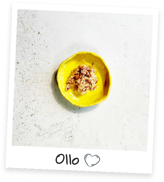 OLLO Cat nr 12 Tuna & Chicken with shrimp in jelly - mokré krmivo pro kočky - 70g - foto 3