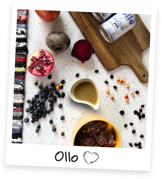 OLLO Plus Collagen Mono Lamb - vlhké krmivo pro psy - 400g - foto 4