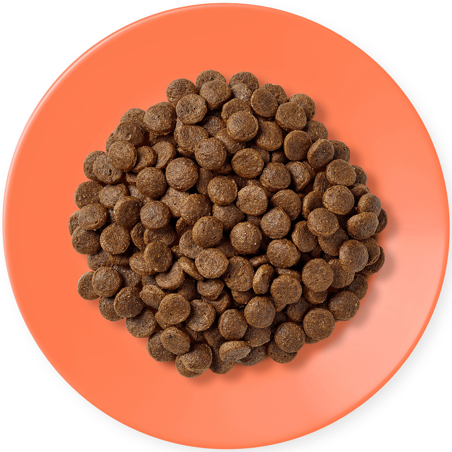 APPLAWS Chicken with salmon - suché krmivo pro kočky - 7,5kg - foto 2