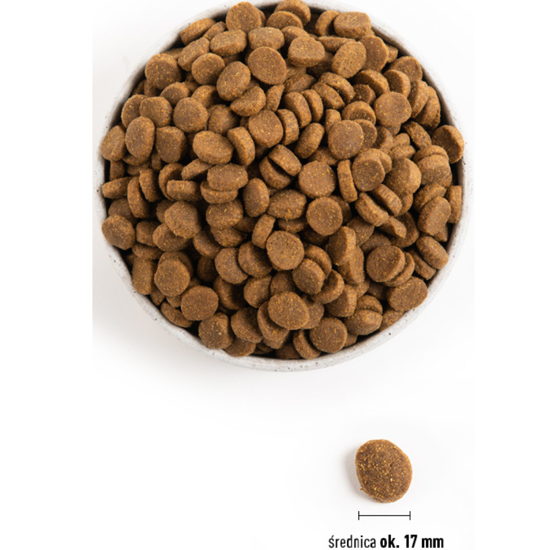 ACANA Adult Large Breed - suché krmivo pro psy - 11,4kg - foto 3