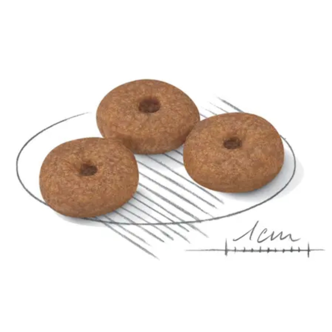 ROYAL CANIN Mini Ageing Adult +12 - suché krmivo pro psy - 3,5 kg - foto 2